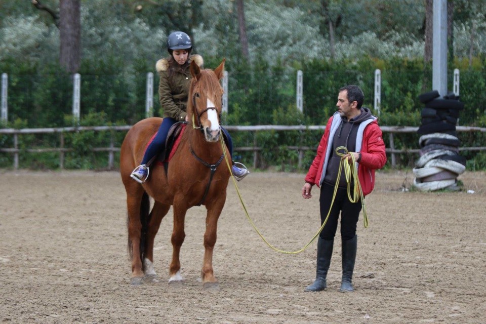 Cavallo